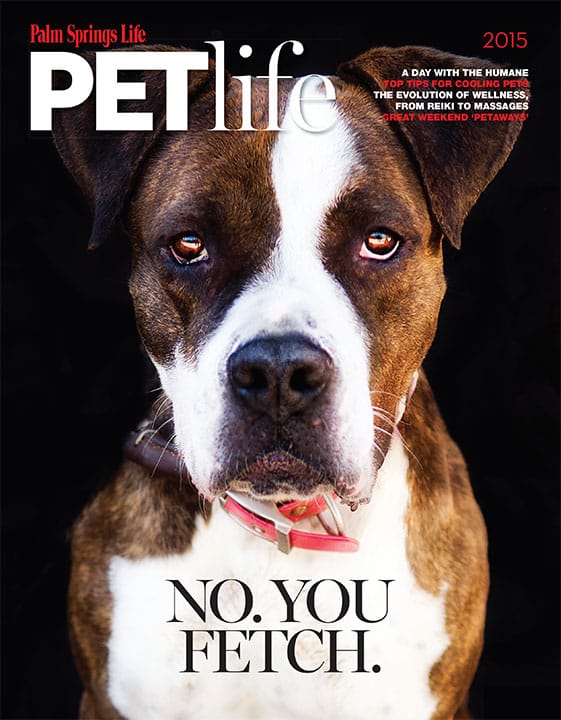 PetLife August 2015